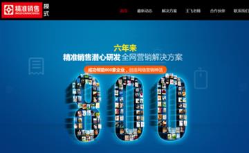 自貢黑羽網絡網頁制作案例-北京精準銷售模式