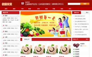 自貢黑羽網絡網頁制作案例-自貢俊熙商貿有限責任公司