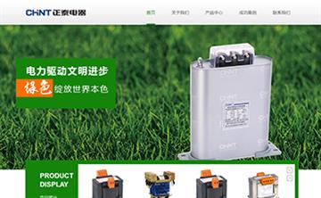 自貢黑羽網絡網頁制作案例-廣州正泰電器有限公司